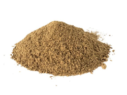 Jengibre molido económico x 1 kg