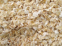 Avena instantánea x 1 kg