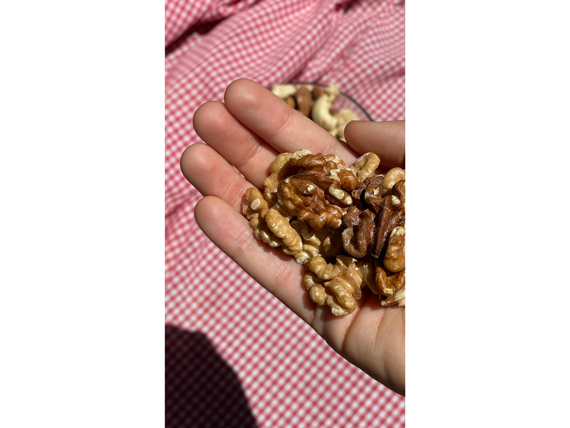 Nueces doradas (light ambar 2026)