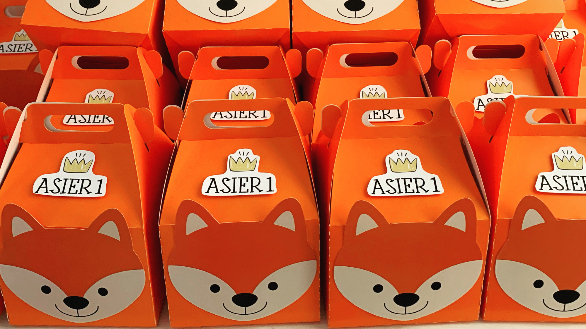 PACKAGING Y ENVOLTORIOS