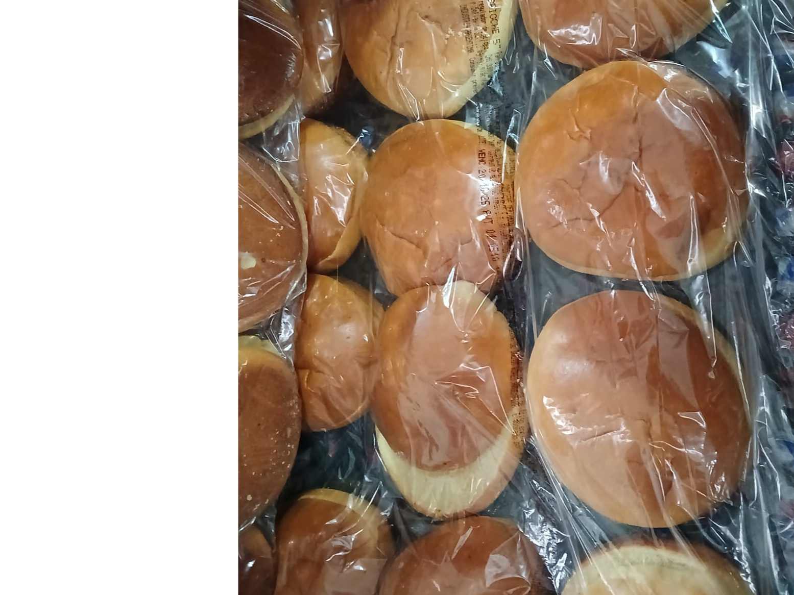 PAN HAMB BRIOCHE FARGO 5in 40x87gr