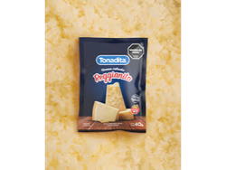 QUESO REGIANITO 20DS