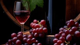 vinos tintos