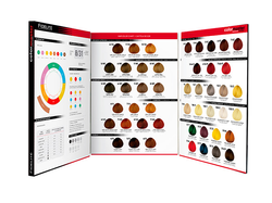 CARTA DE COLORES COLORMASTER 108 TONOS