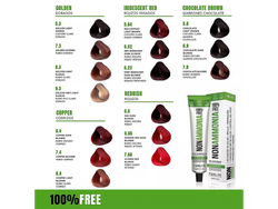 CARTA DE COLORES NON AMMONIA