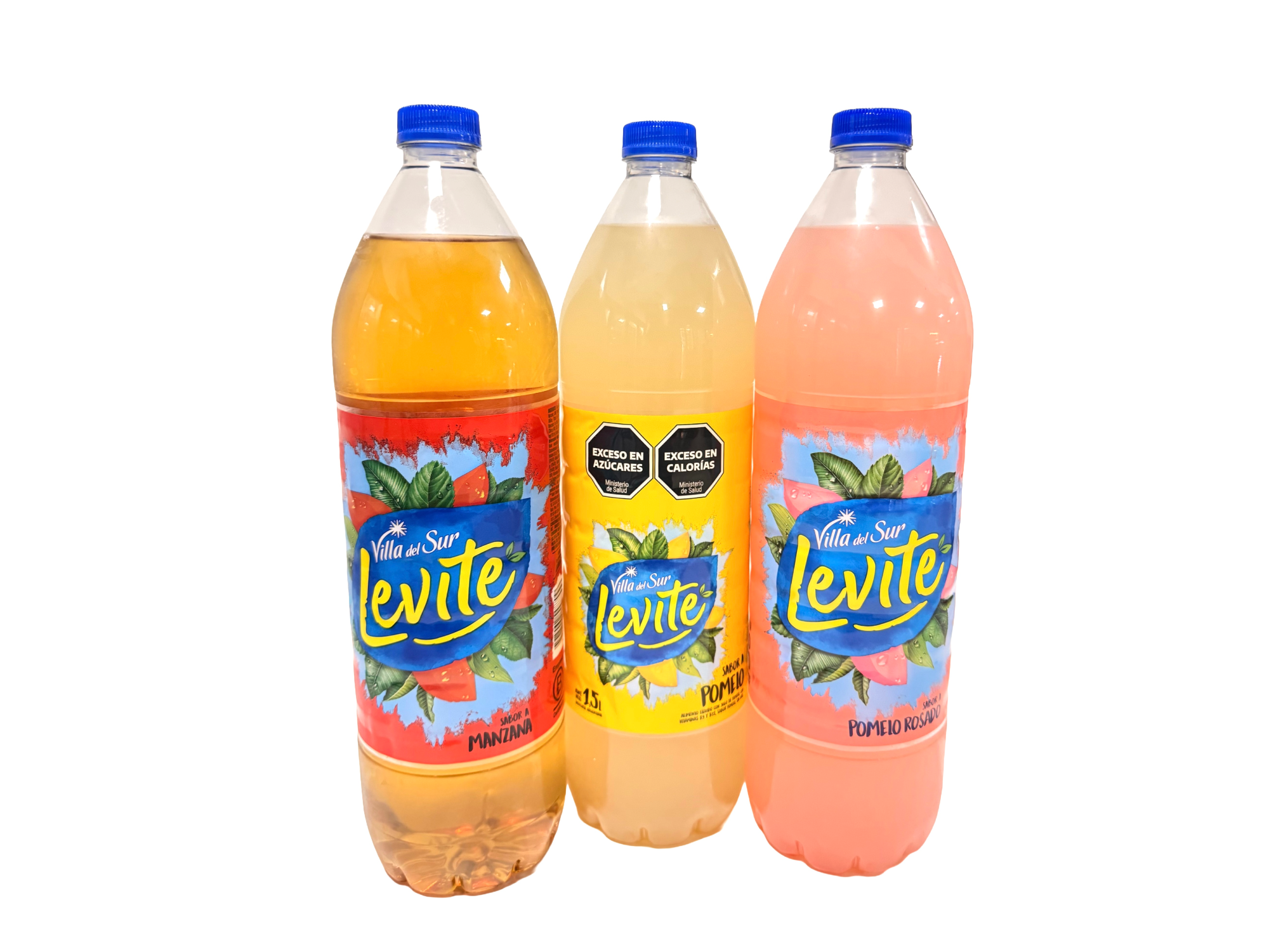 Levite