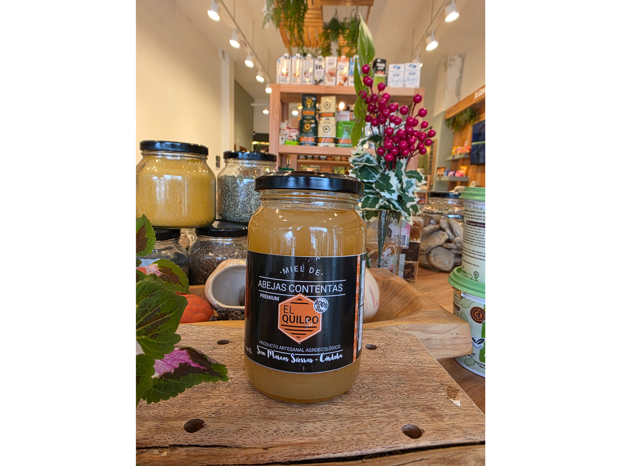 Miel de Abejas El Quilpo