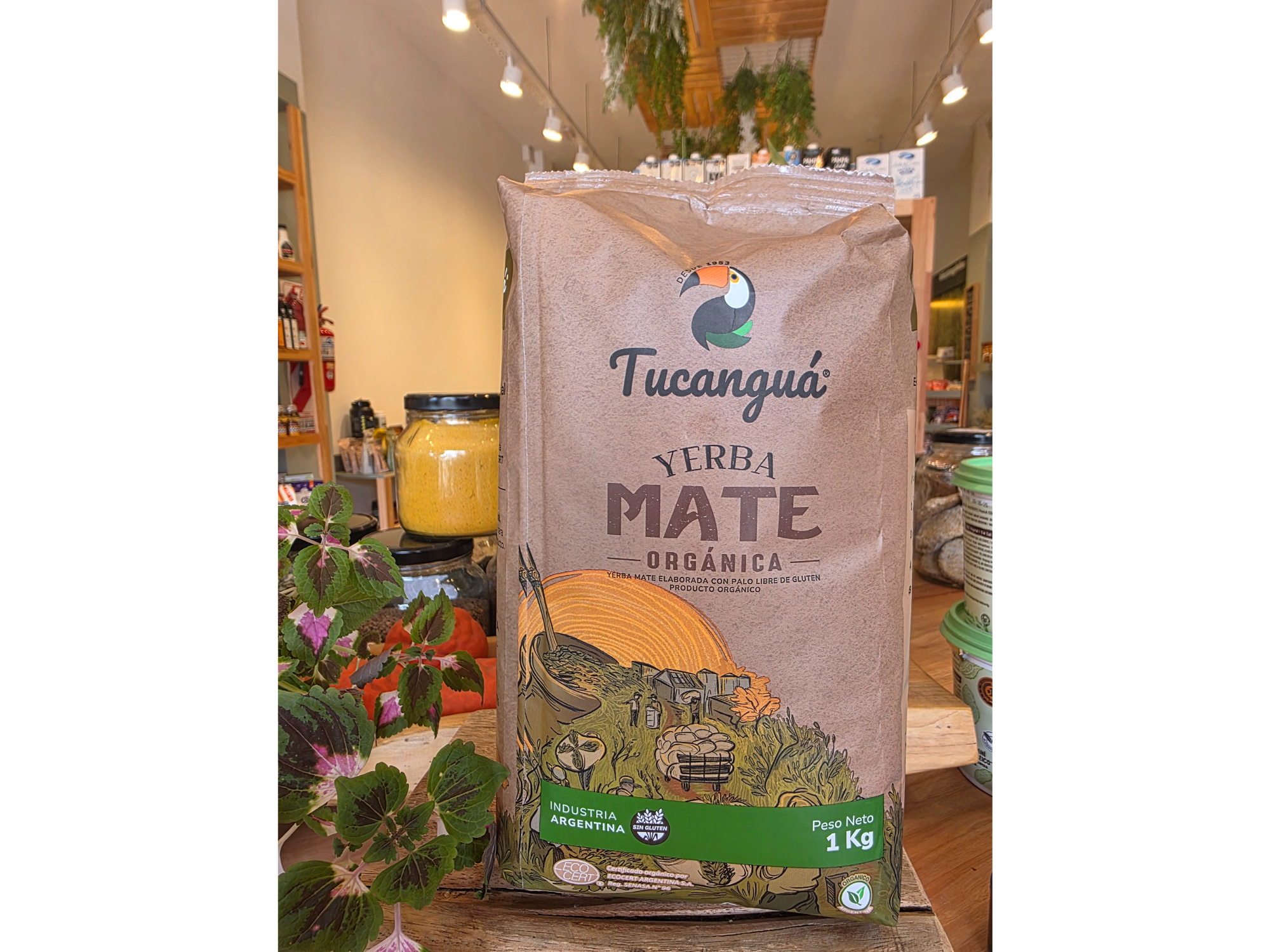 Yerba mate Tucangua Organica