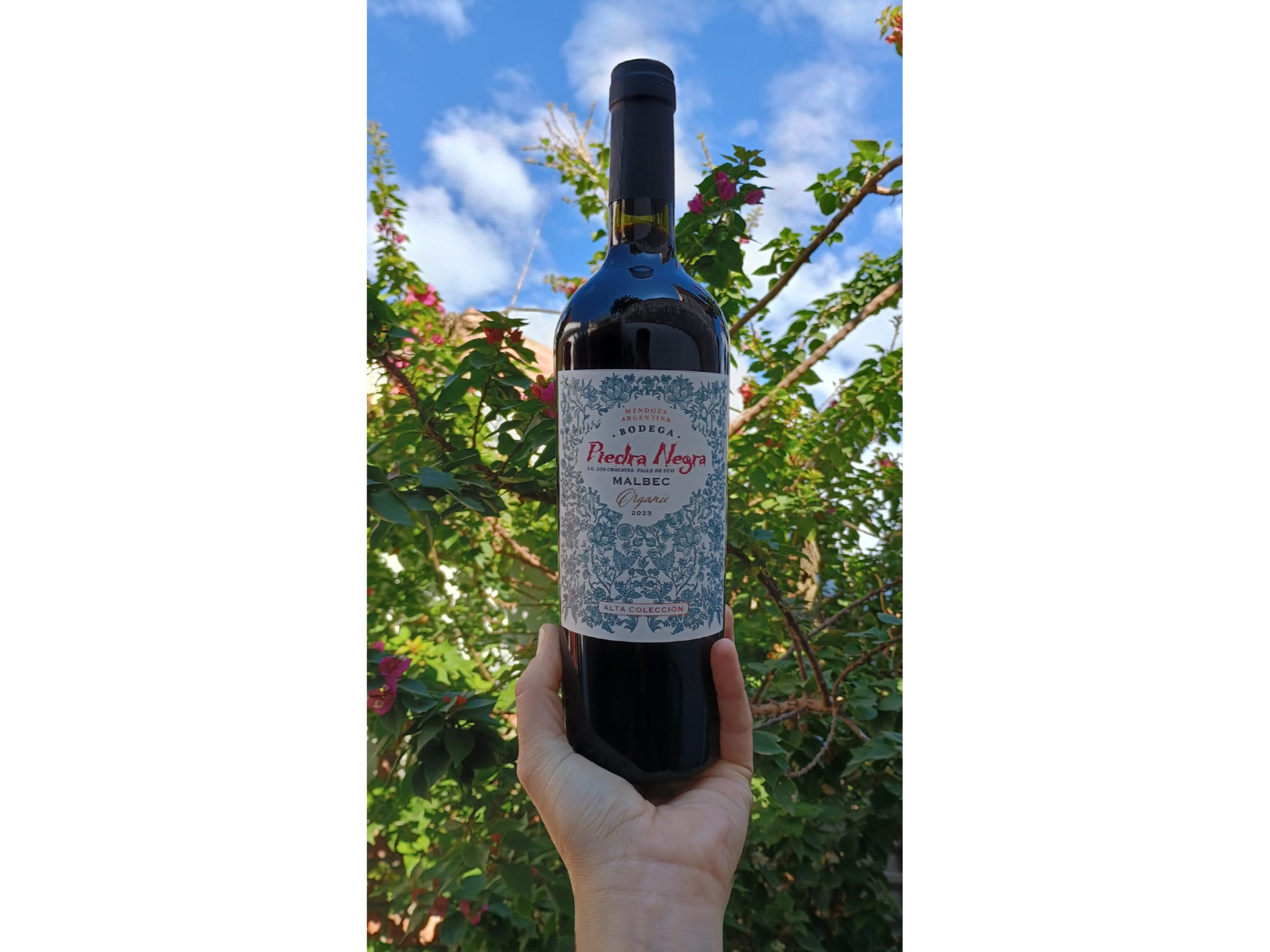 Malbec orgánico