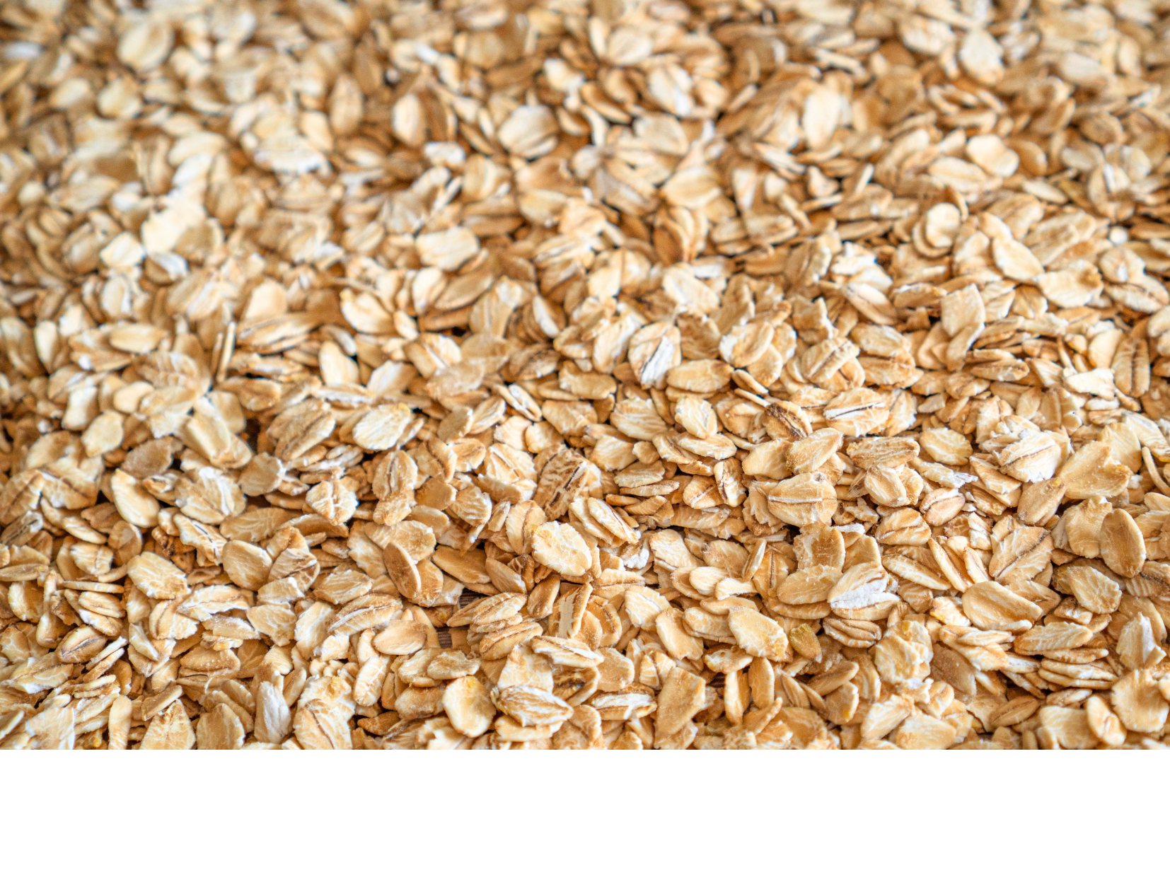 Avena