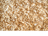 Avena