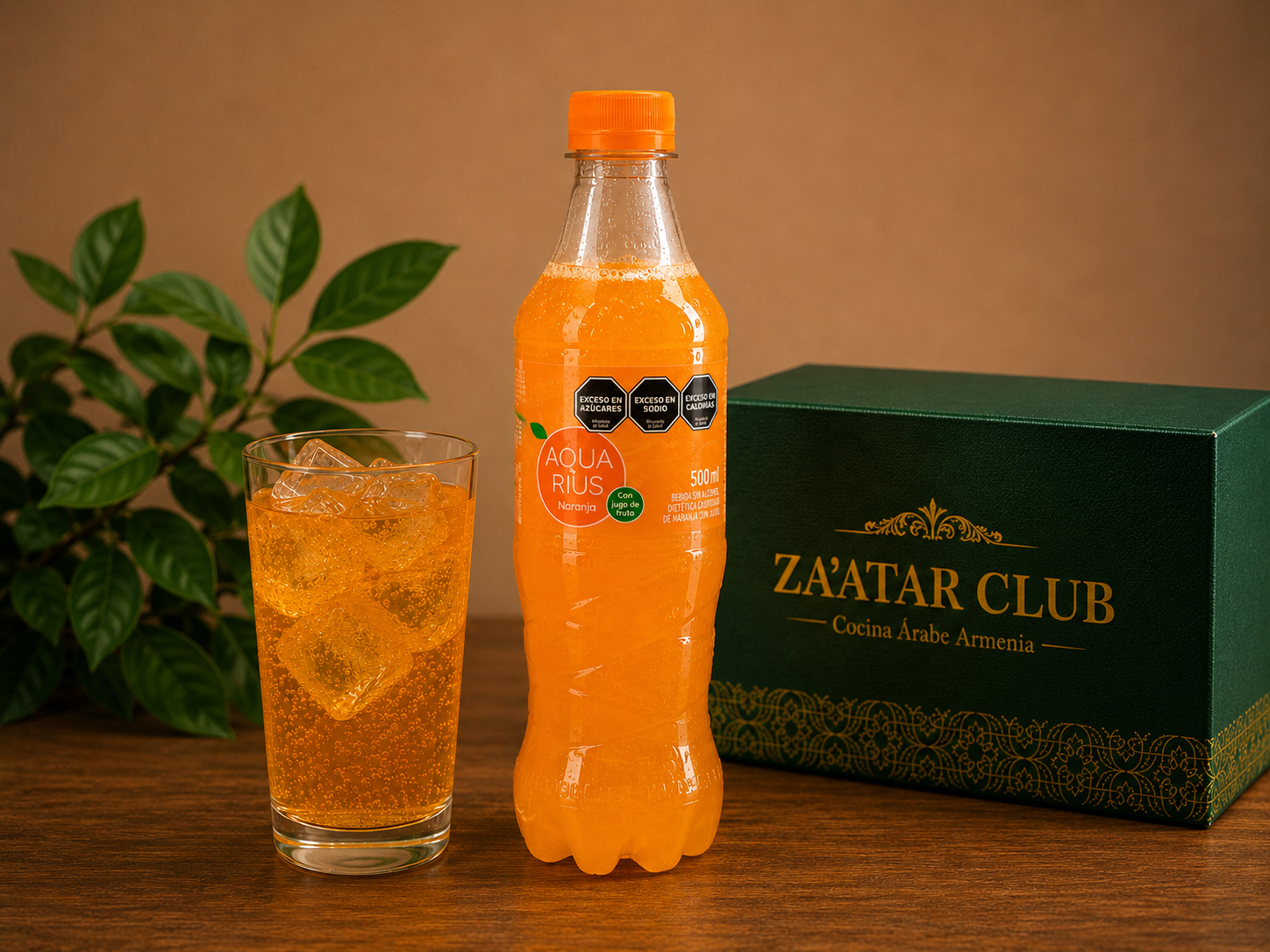 Aquarius Naranja 500 cc