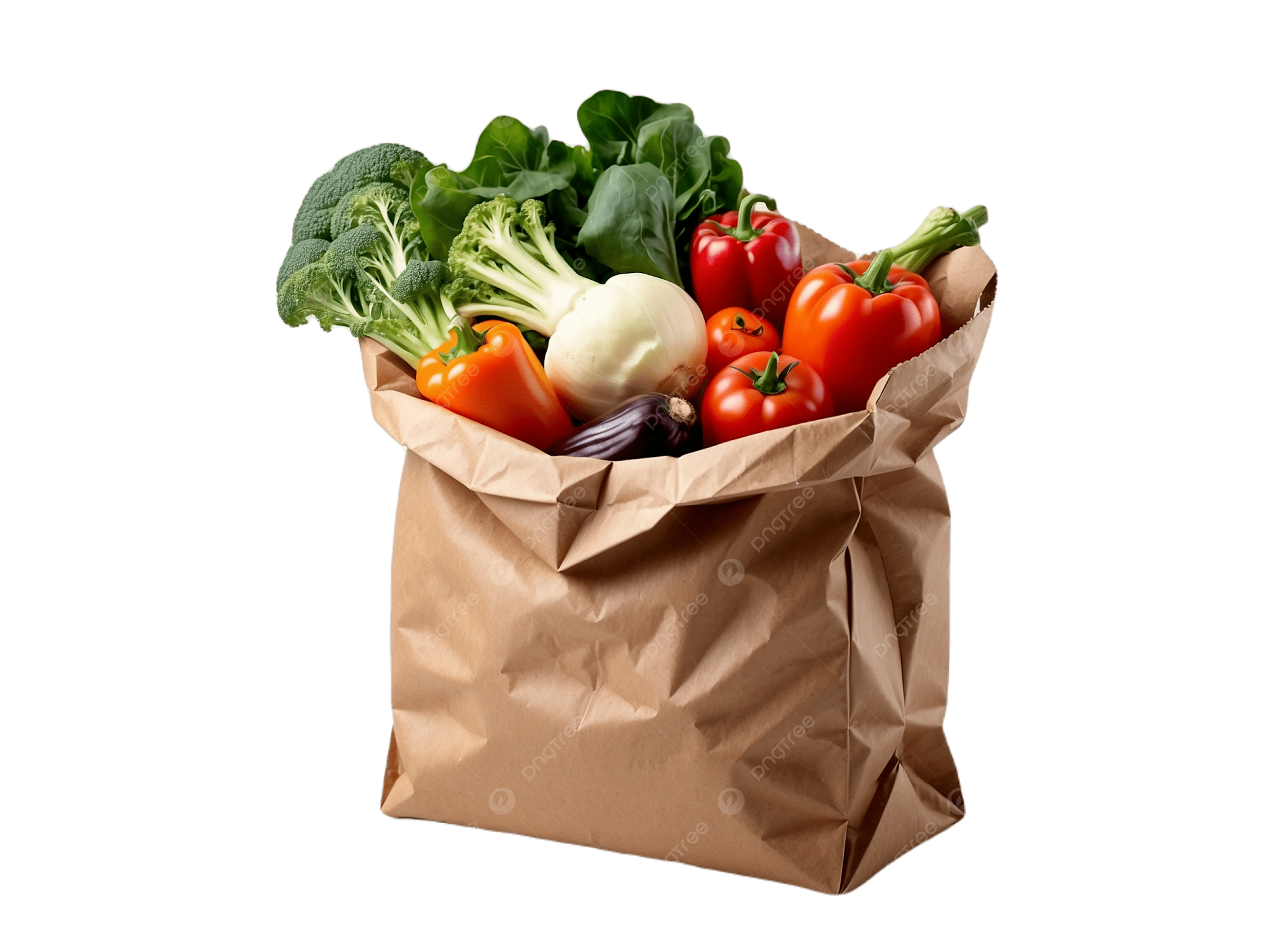 BOLSON  DE VERDURAS I