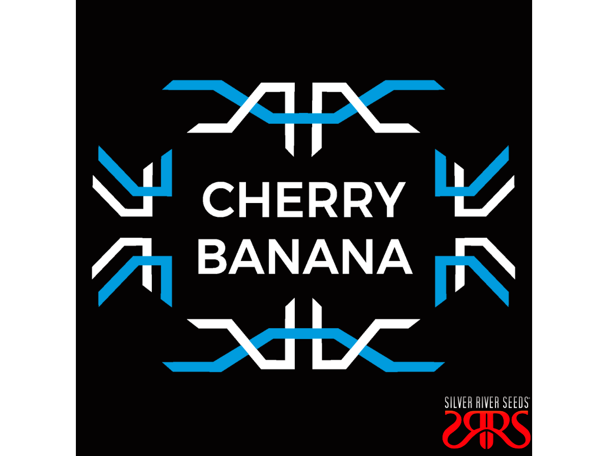Cherry Banana