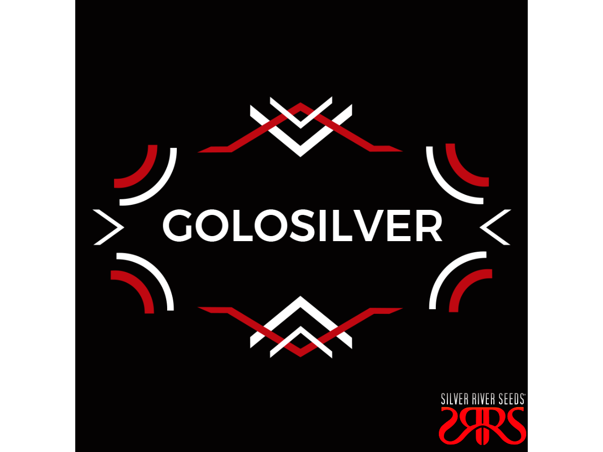 Golosilver