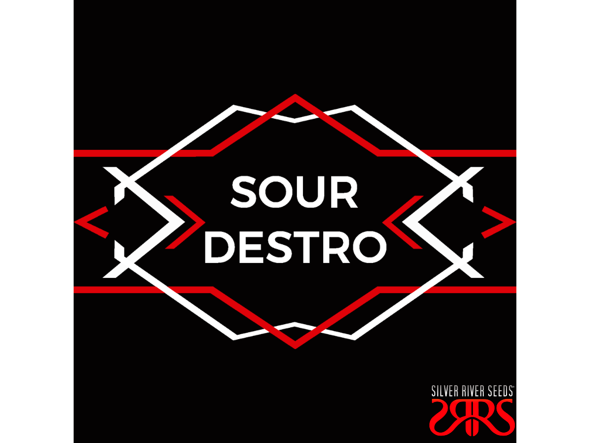 Sour Destro