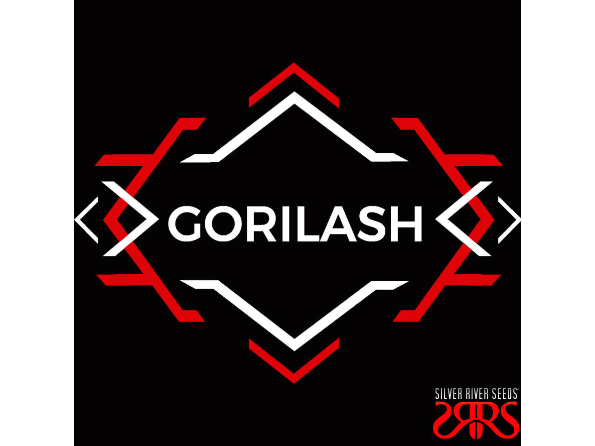 Gorilash