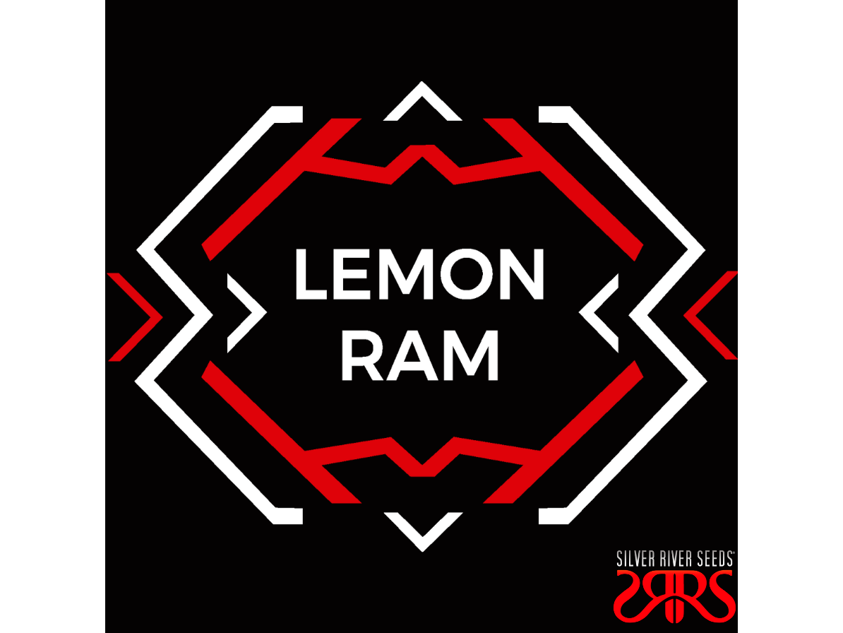 Lemon Ram