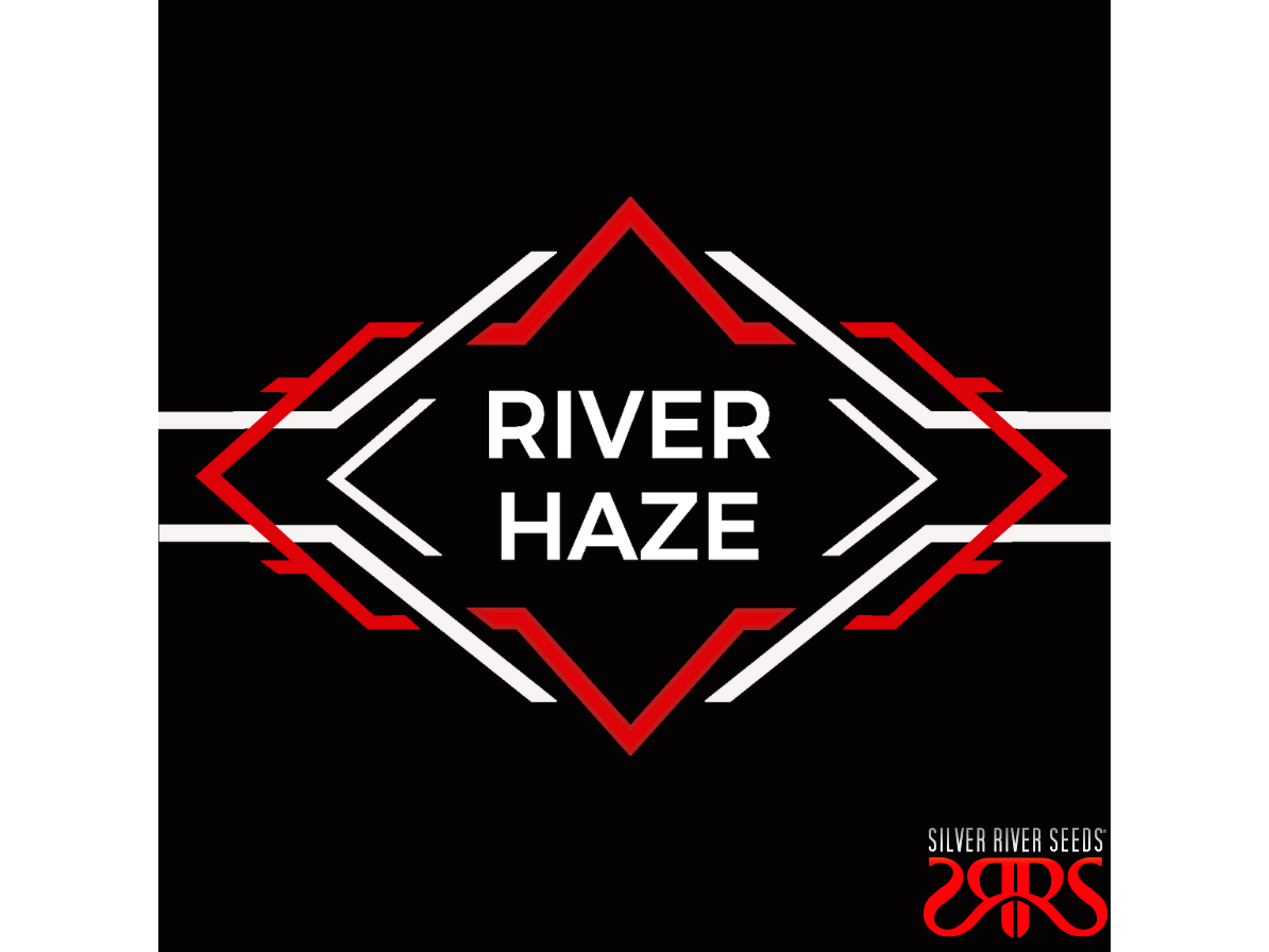 River Haze