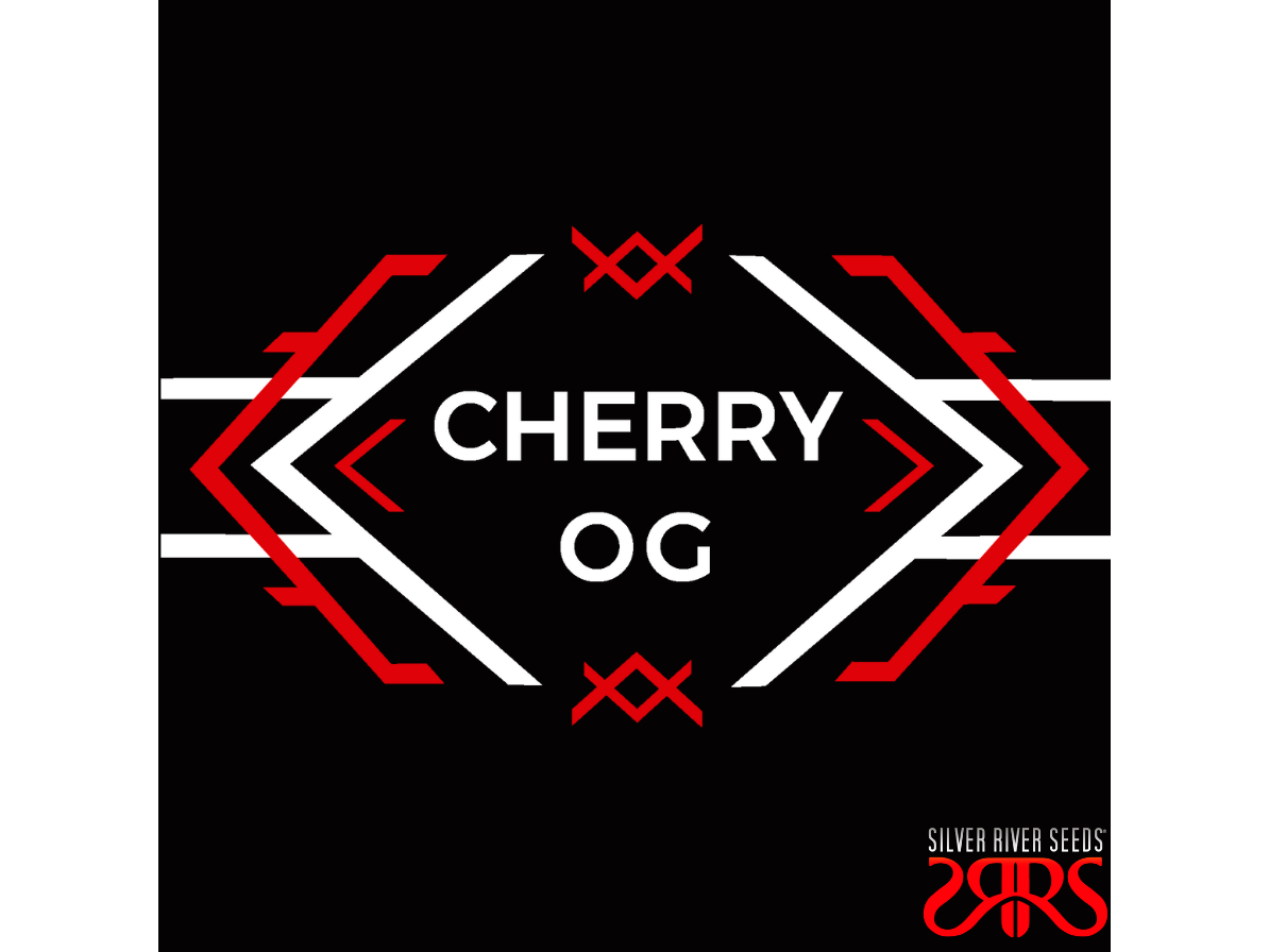 Cherry OG