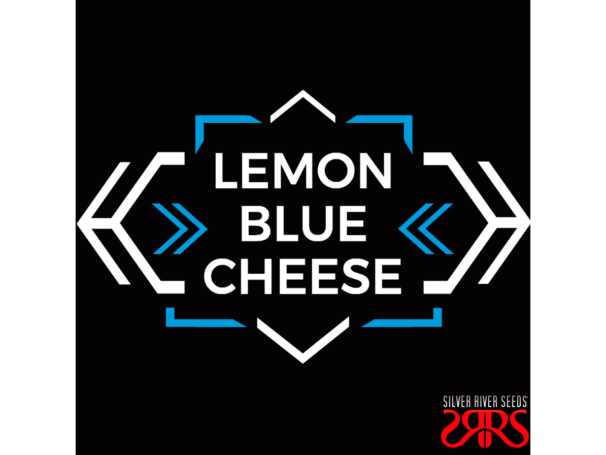 Lemon Blue Cheese