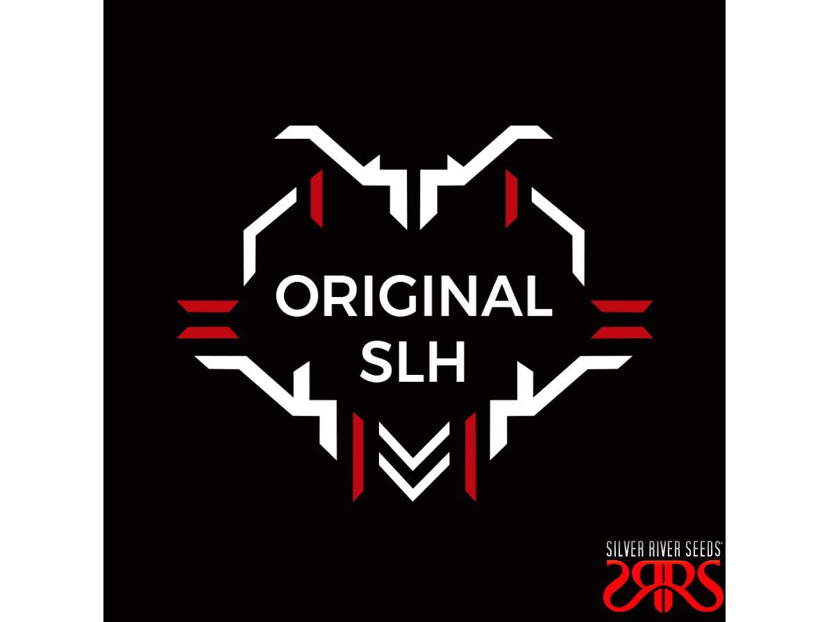 Original SLH