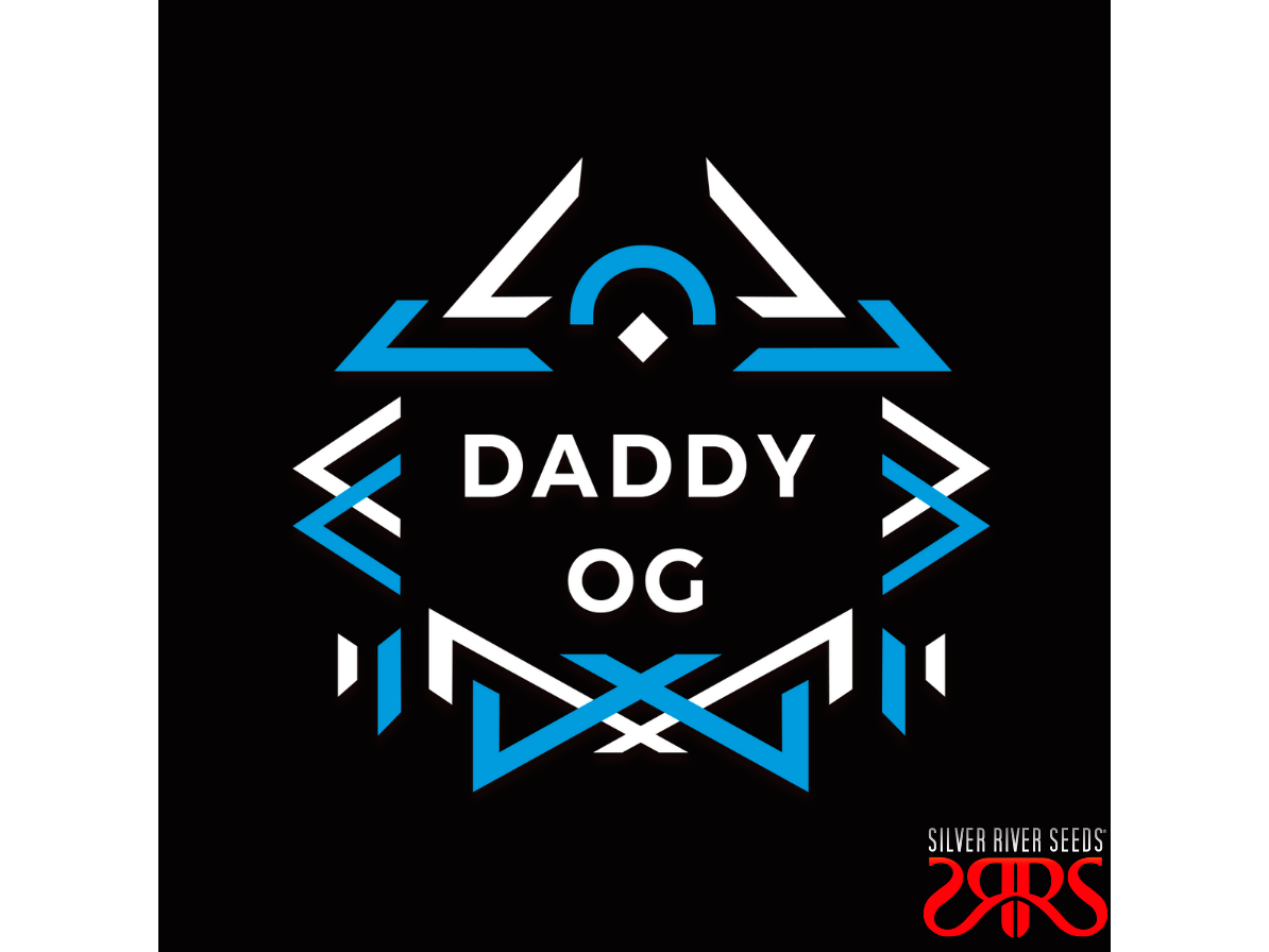 Daddy OG