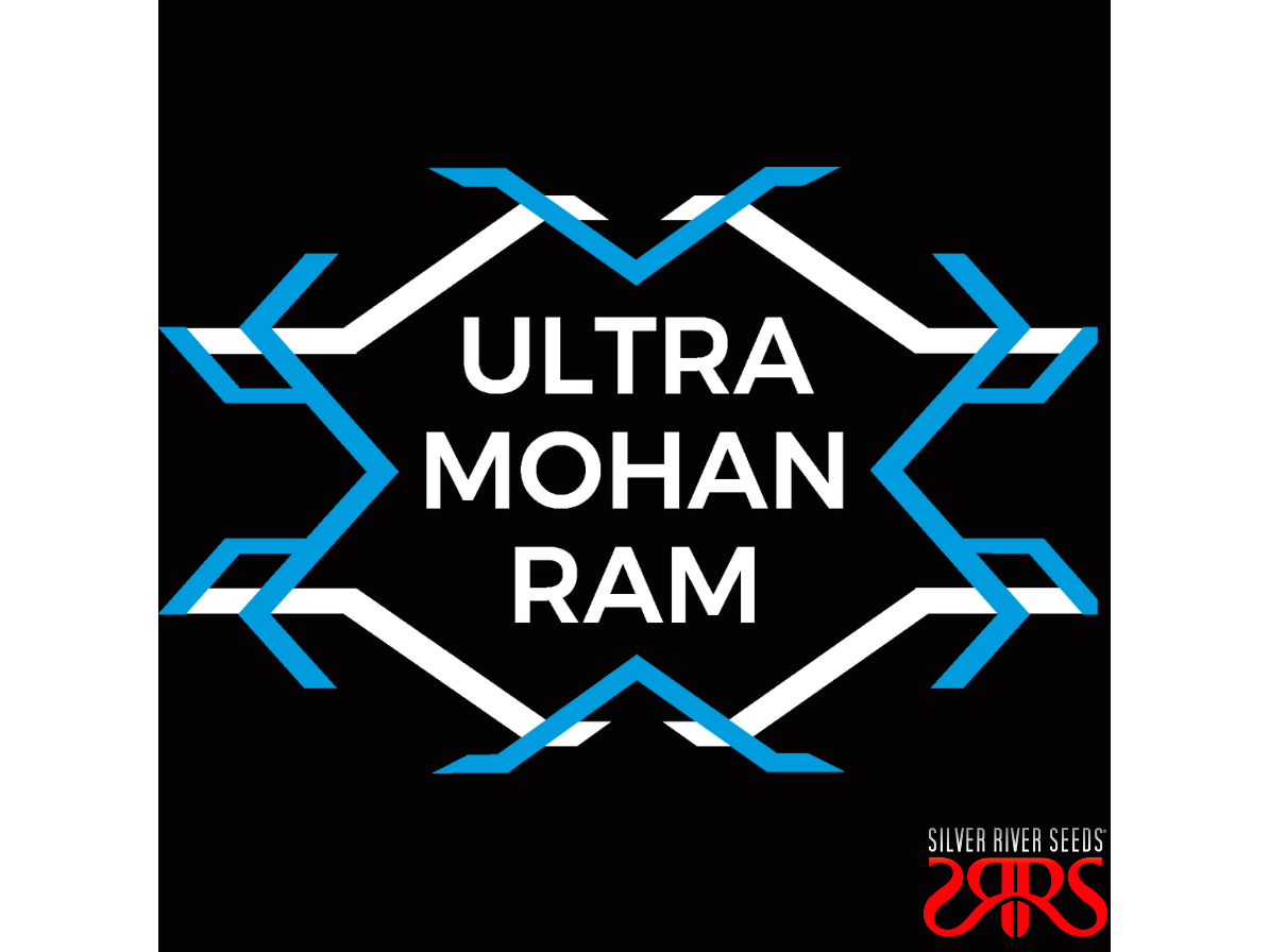 Ultra Mohan Ram