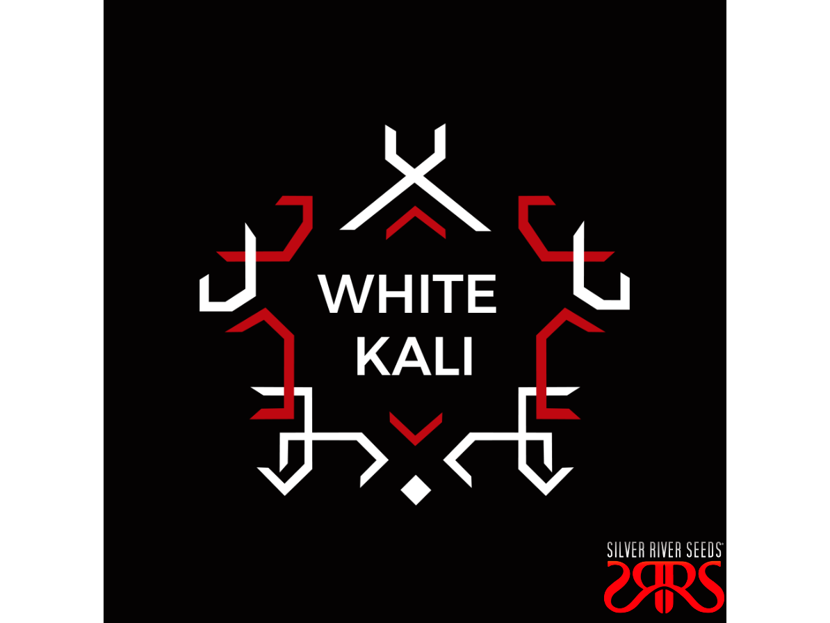 White Kali