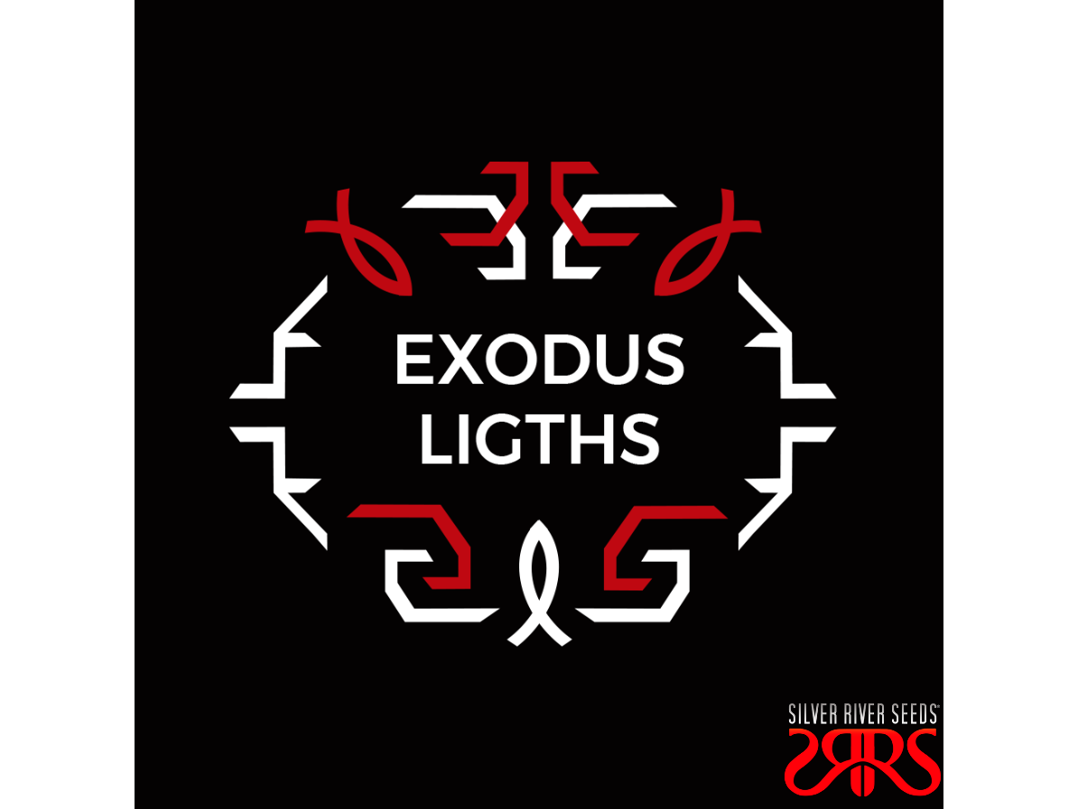 Exodus Lights
