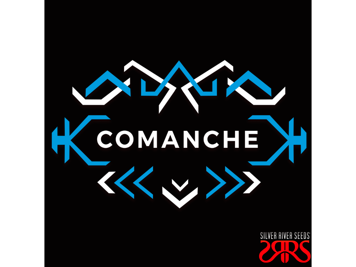 Comanche