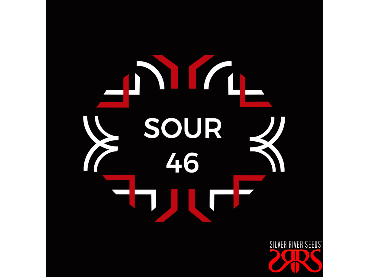 Sour 46