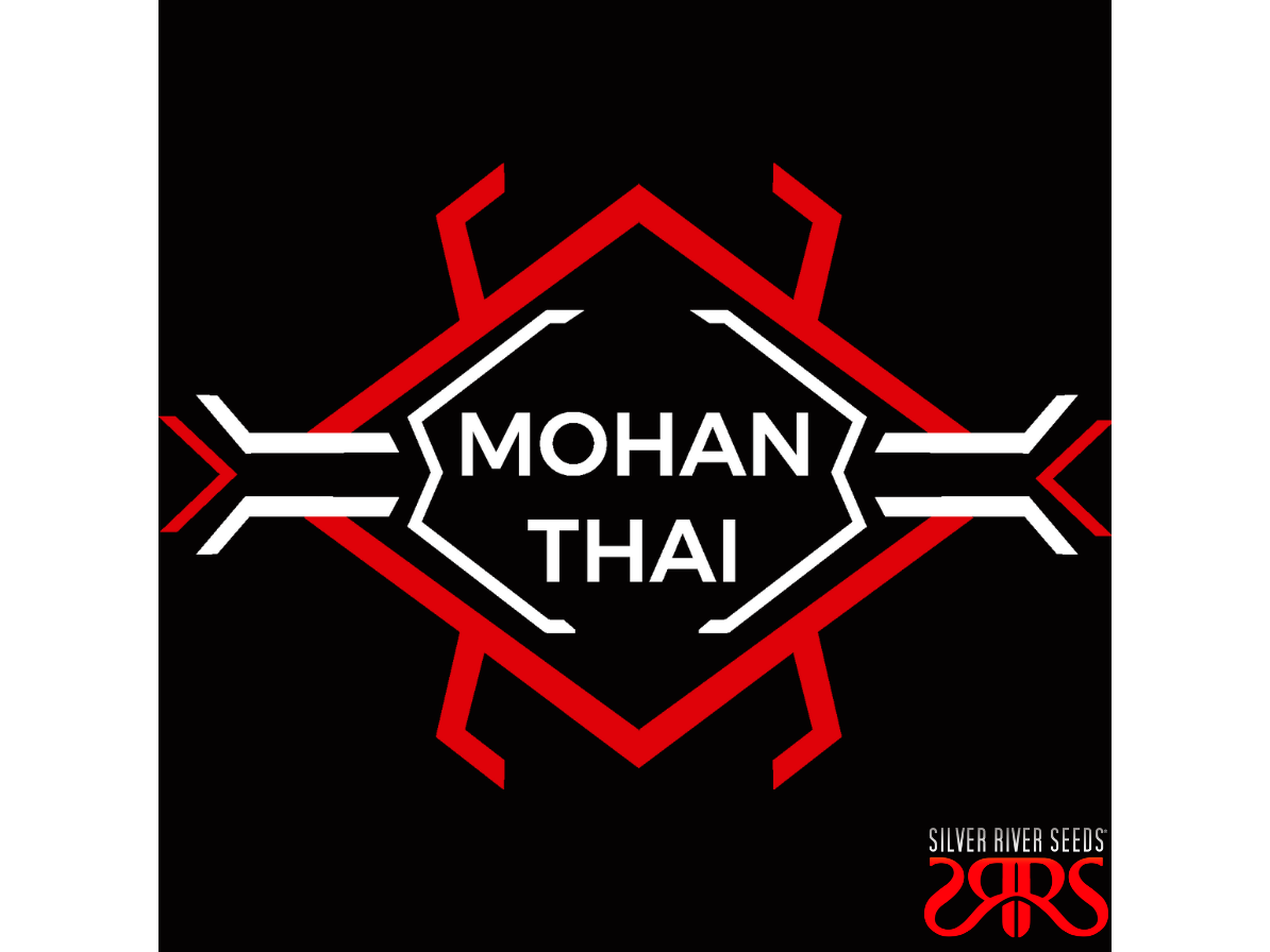 Mohan Thai