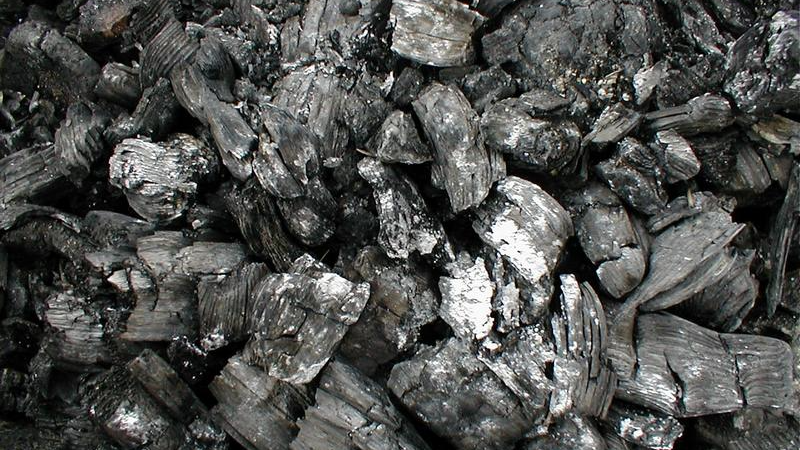 FORRAJERIA Y CORRALON