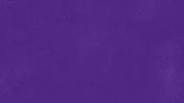 REPELENTE e  INSECTICIDAS