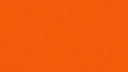 arroz,pastas y legumbres