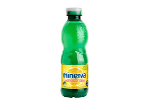 jugo de limon x 250 ml MINERVA