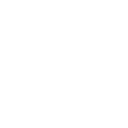 Logo Dogor Store