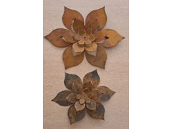 Flor Pared