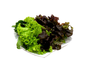 LECHUGAS VERDES ROJAS X 500 Gr (4-62) de RIE LA HUERTA