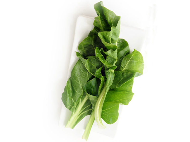 ACELGA X 500 g (5-53)