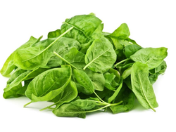 ESPINACA X 500g (1005)
