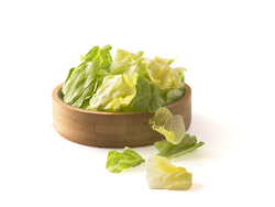 LECHUGAS VERDES X 500 Gr ( 1052)