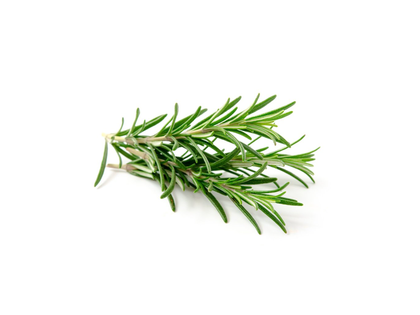 ROMERO X 100 Gr (2021)