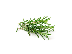 ROMERO X 100 Gr (2021)