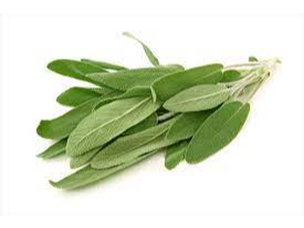 SALVIA X 100 Gr (2017)