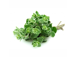 OREGANO X 100 Gr. (2054)