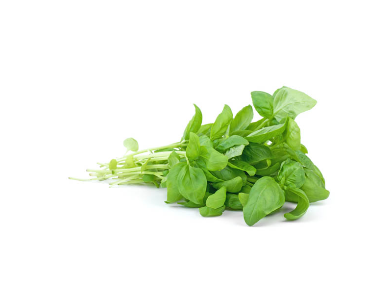 ALBAHACA X 100 Gr (2025)