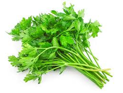 PEREJIL X 100 Gr (2009)