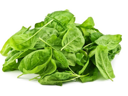 5 X 4 ESPINACA BABY x 500GR (1152)
